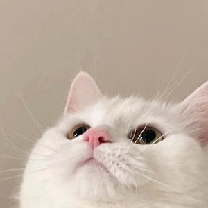 春泥小火炉头像