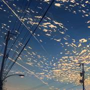 旭旭160的个人资料头像