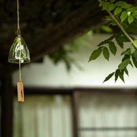 红红小胖兔头像