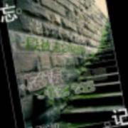 zxlauge的个人资料头像