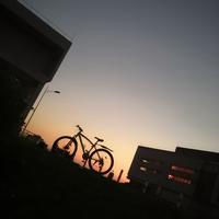 用户9228015799976头像