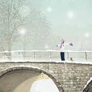 1244497026的个人资料头像