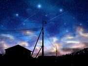 星海游鲸的个人资料头像