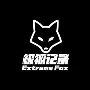 极狐记录头像
