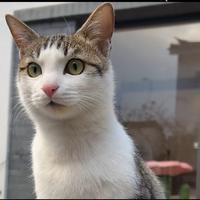 神经病渣女一枚头像