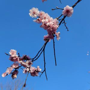 山顶舒意远眺