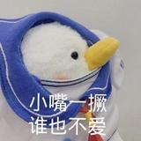 摸鸭子头像