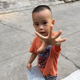 小强528888头像