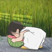 简简单单849的个人资料头像