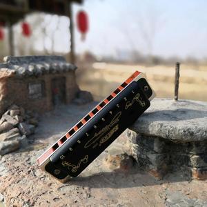 听海19768A7r头像