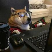 youngwinds的个人资料头像