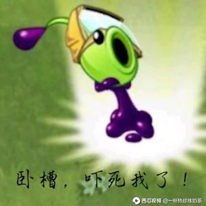 一只爱玩我的世界的沙雕毒豌头像