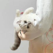 半只咸鱼_的个人资料头像