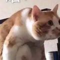 无名193130666头像
