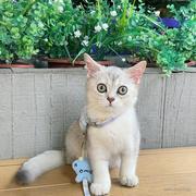 李小喵的个人资料头像
