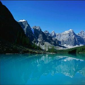 咋没发财呢头像