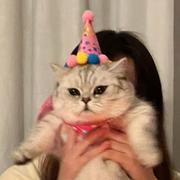 boni的个人资料头像