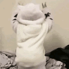 摸鱼专家skr的个人资料头像
