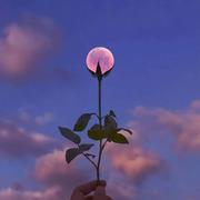 小一152的个人资料头像