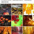 禁烟督察头像