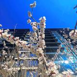 用户212191320853头像