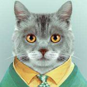 Y33的个人资料头像