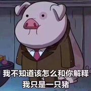 刘雨和的个人资料头像