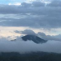 你的心缘人头像