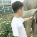 嘻嘻哈哈头像