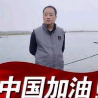 自在迎庆头像