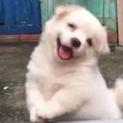 早点睡167的个人资料头像