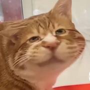 Fly332的个人资料头像