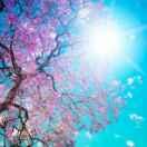 白杨同学38940的个人资料头像