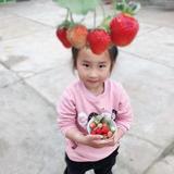 八零后大叔k头像