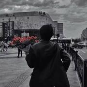 抠鼻屎的大熊的个人资料头像