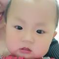 奔跑的小羊222头像