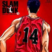 旭三分的个人资料头像