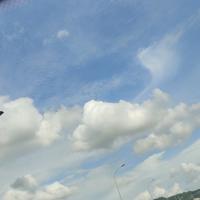 自由如风的蓝色雨头像