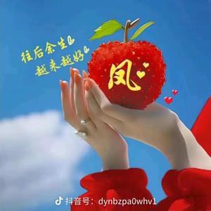 阿依舍音乐头像