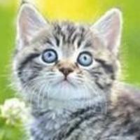 陕西秦plus车主小舟头像