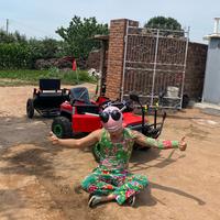 面具下的行者头像