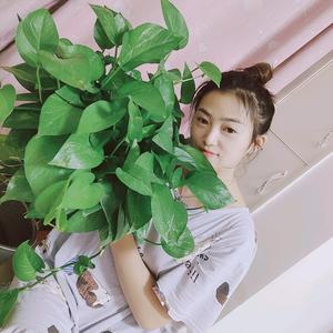 @小兰头像