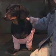 真有is的个人资料头像