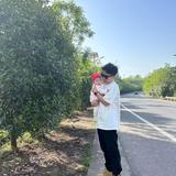 三金哥766头像