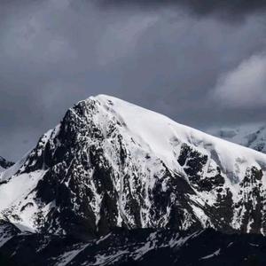 兰山雪头像