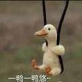 墨笔风华头像