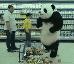 大马哈鱼三胖的个人资料头像