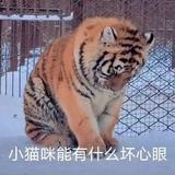 用户1063661883797头像