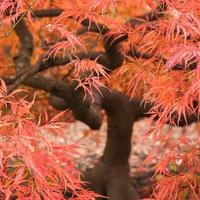 用户9953860973715头像