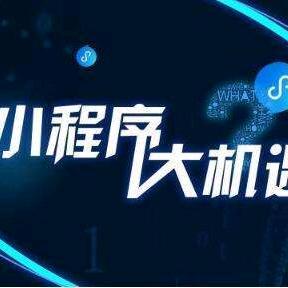 小地方的高科技头像